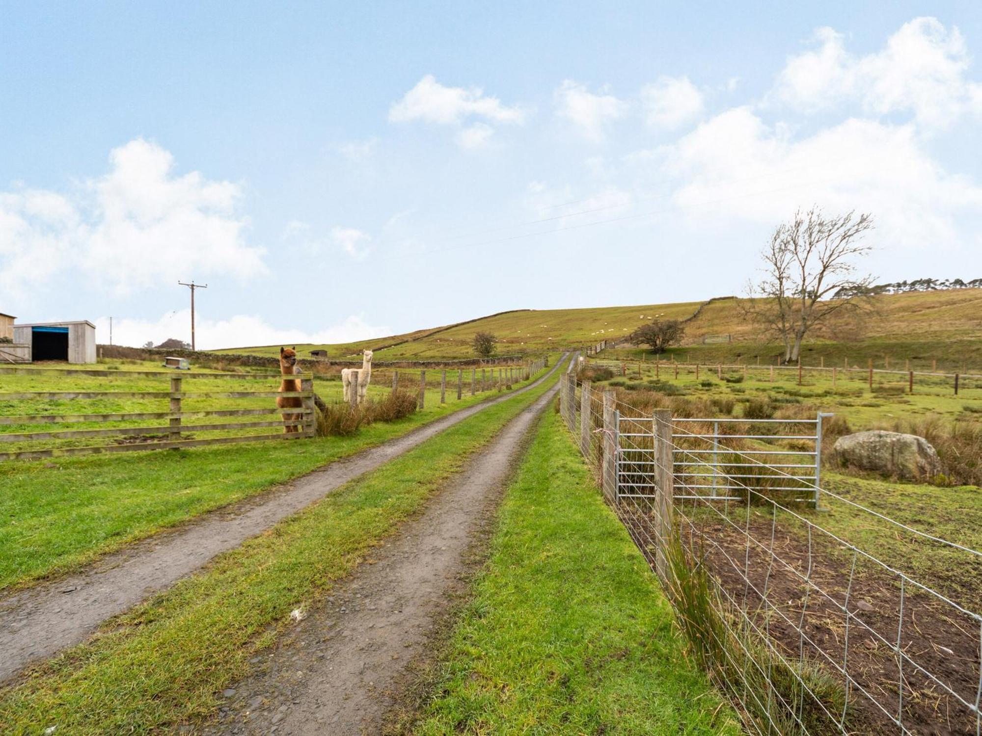 Ferny Rigg Byre - Uk3326 Villa Falstone ภายนอก รูปภาพ